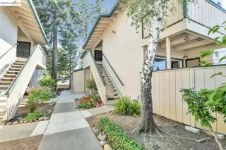 Photo #2: 41031524 Listing 