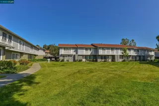 Photo #1: 41031667 Listing