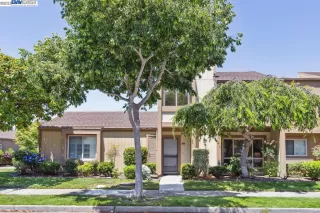 Photo #1: 41031910 Listing 