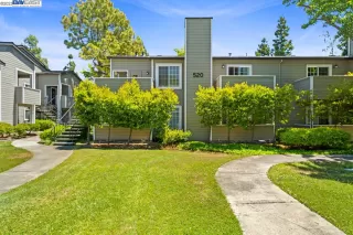 Photo #1: 41032161 Listing