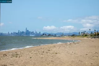 Photo #1: 41032231 Listing