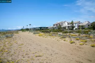 Photo #2: 41032231 Listing