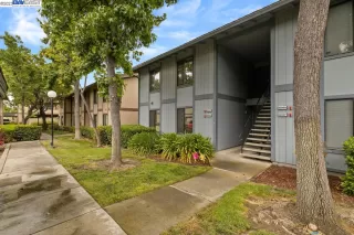 Photo #1: 41032257 Listing 