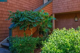 Photo #1: 41032437 Listing