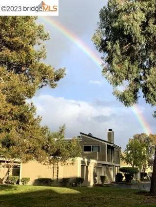 Photo #1: 41032761 Listing