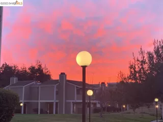 Photo #2: 41032761 Listing