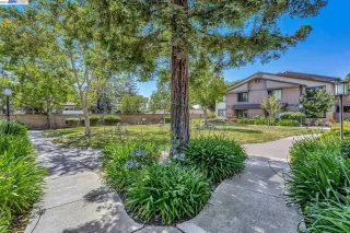 Photo #4: 41032799 Listing 