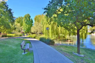 Photo #3: 41032861 Listing 