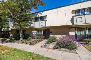 Photo #1: 41033119 Listing