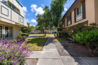 Photo #2: 41033119 Listing