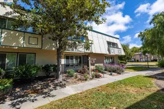 Photo #3: 41033119 Listing