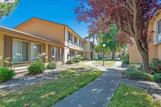 Photo #1: 41033387 Listing