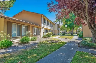 Photo #2: 41033387 Listing