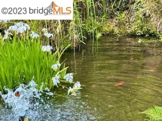 Photo #4: 41033421 Listing