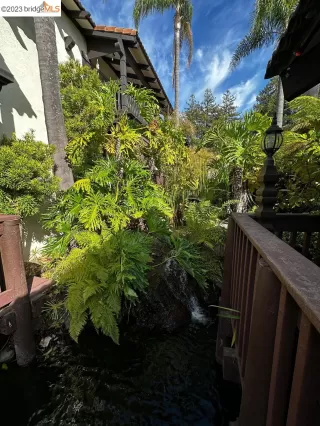 Photo #5: 41033421 Listing