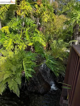 Photo #6: 41033421 Listing