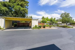 Photo #1: 41033548 Listing