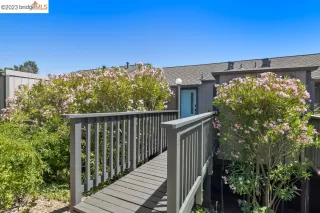 Photo #1: 41033707 Listing