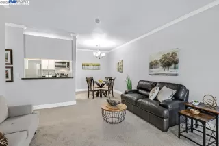 Photo #1: 41033958 Listing