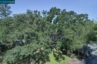 Photo #6: 41034071 Listing