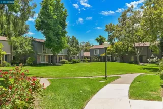 Photo #1: 41034154 Listing