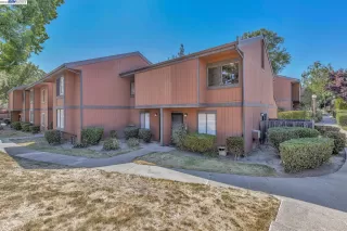 Photo #1: 41034249 Listing