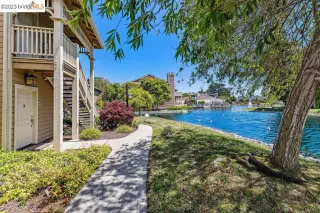 Photo #1: 41034351 Listing