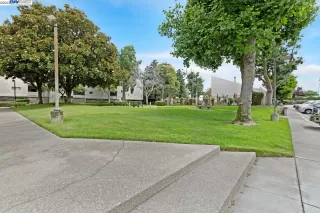 Photo #2: 41034488 Listing