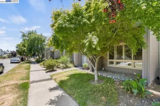 Photo #1: 41034643 Listing 