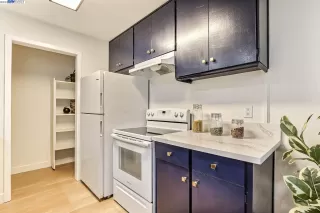 Photo #5: 41034733 Listing