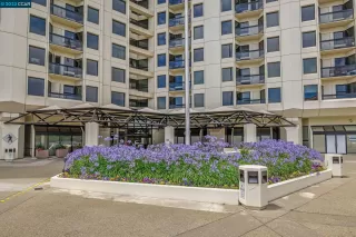 Photo #1: 41034967 Listing