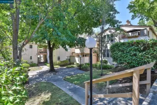 Photo #2: 41034996 Listing