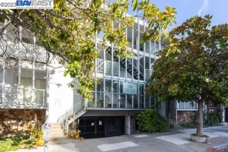 Photo #1: 41035035 Listing 