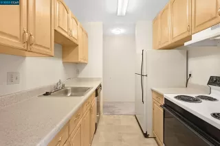 Photo #1: 41035174 Listing