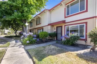 Photo #1: 41035294 Listing