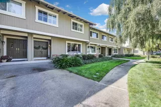 Photo #1: 41035767 Listing