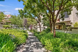 Photo #1: 41035891 Listing 