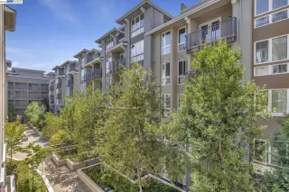 Photo #6: 41036007 Listing