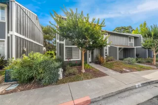 Photo #1: 41036058 Listing 