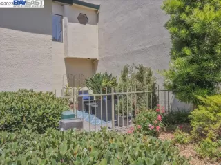Photo #1: 41036374 Listing 