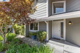 Photo #1: 41036417 Listing 