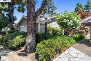 Photo #3: 41036417 Listing 