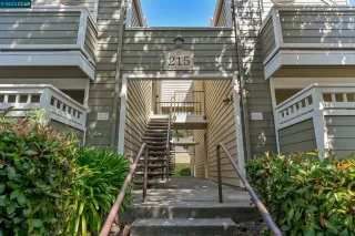 Photo #1: 41036421 Listing