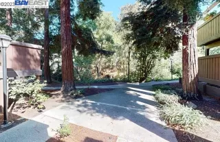 Photo #1: 41036485 Listing