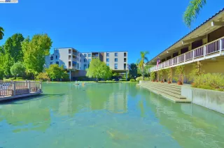 Photo #1: 41036614 Listing 