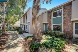 Photo #2: 41036631 Listing 