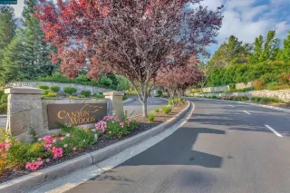 Photo #1: 41036947 Listing 