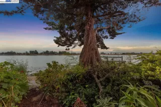 Photo #2: 41037071 Listing