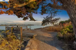 Photo #3: 41037071 Listing