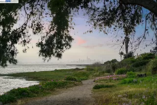 Photo #4: 41037071 Listing